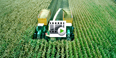 Krone. Big X_video_01.jpg
